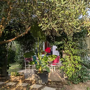 La Maison Sous L'olivier Villa